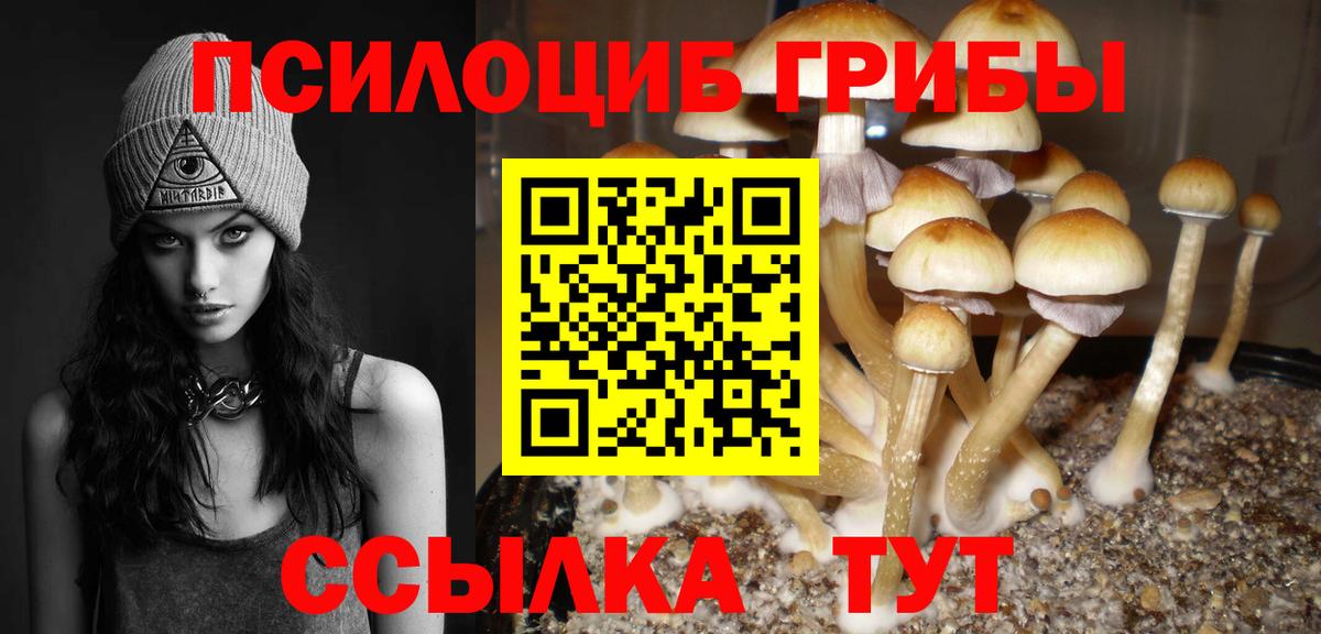 Галлюциногенные грибы мицелий Северск