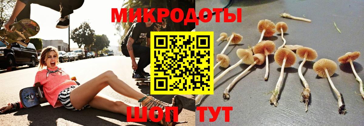 Северск  Галлюциногенные грибы Magic Shrooms  Псилоцибиновые грибы ЛСД  Вход с VPN 